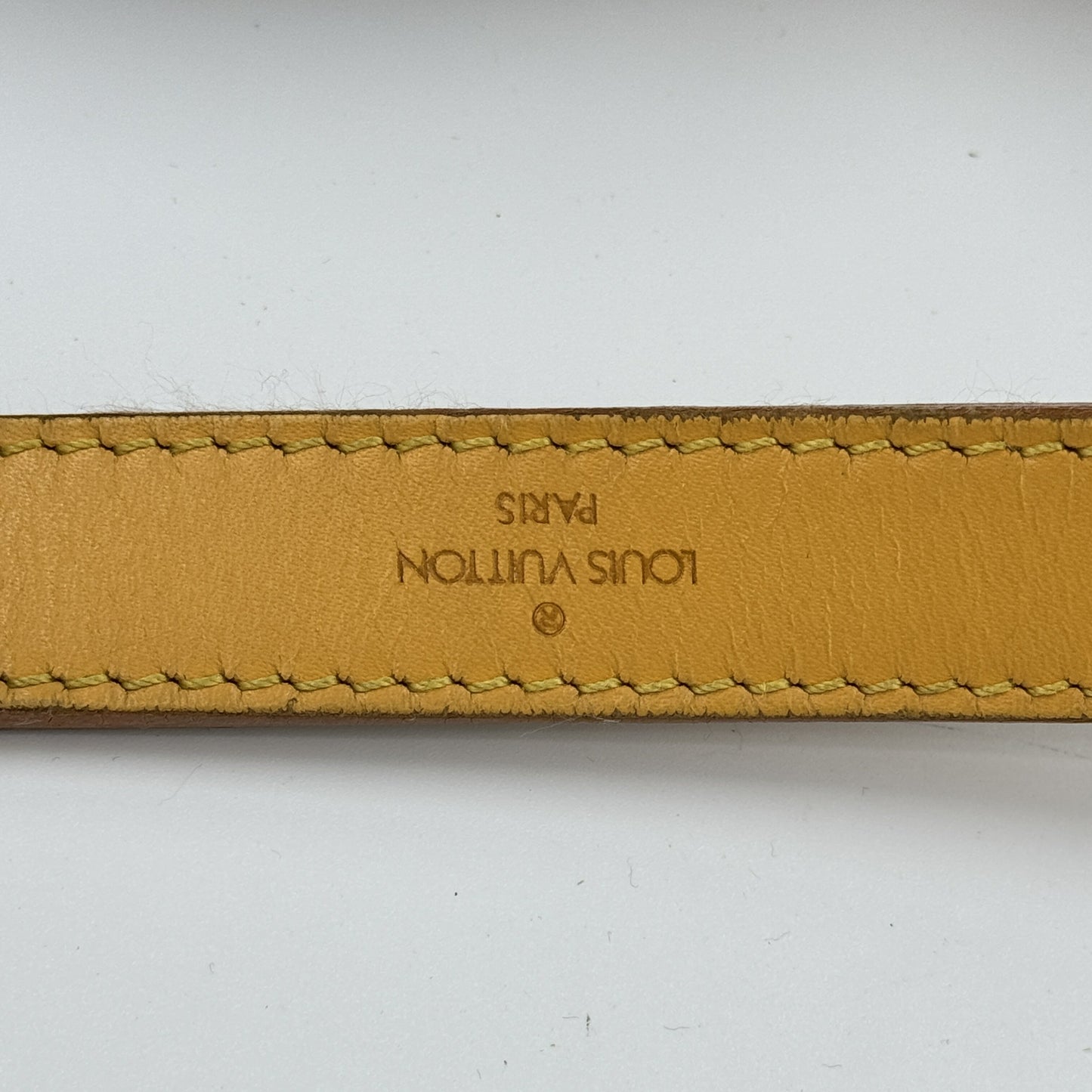 LOUIS VUITTON エピ プチノエ イエロー レザー 巾着 ショルダーバッグ M44109