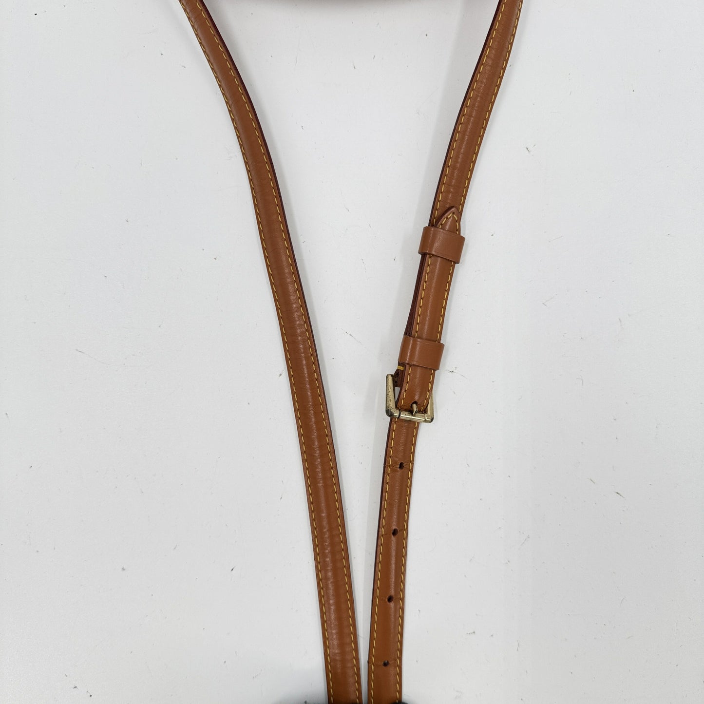 LOUIS VUITTON ダニューブPM エピレザー ジパン ゴールド ショルダーバッグ M52528