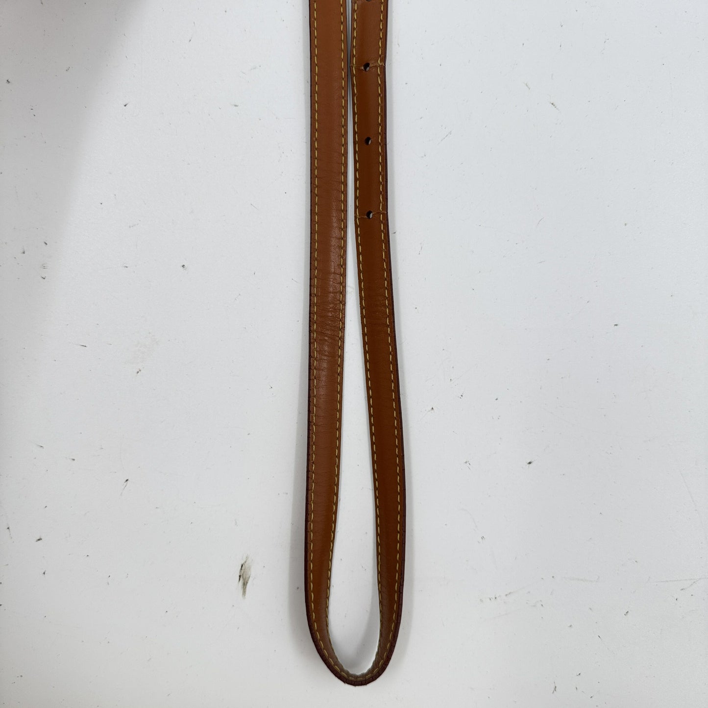 LOUIS VUITTON ダニューブPM エピレザー ジパン ゴールド ショルダーバッグ M52528