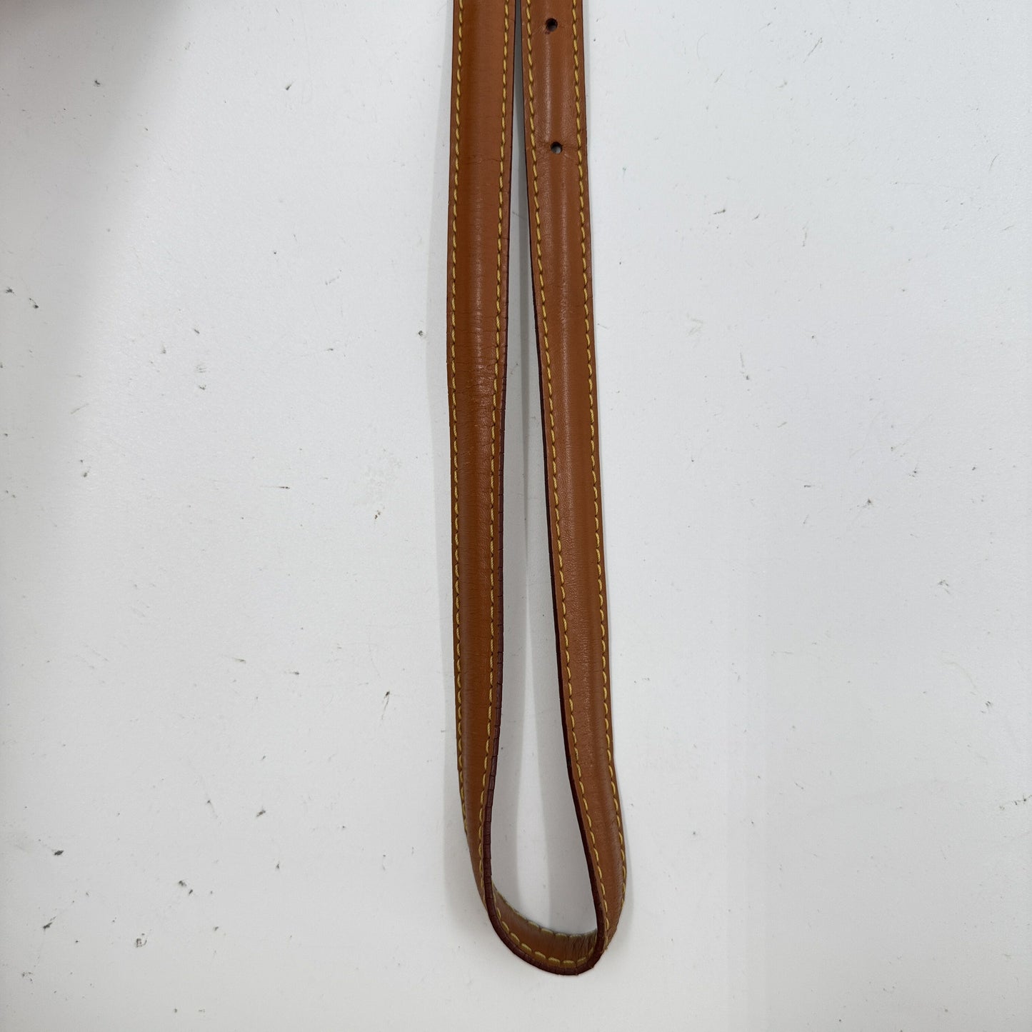LOUIS VUITTON ダニューブPM エピレザー ジパン ゴールド ショルダーバッグ M52528