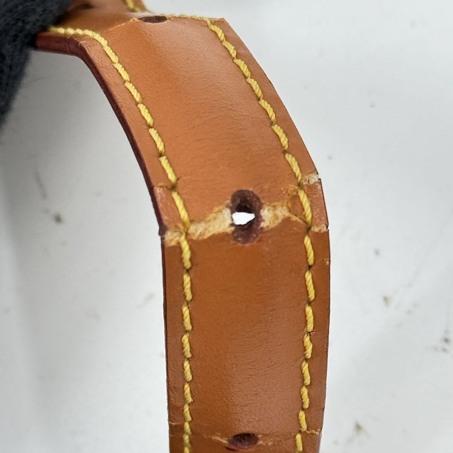 LOUIS VUITTON ダニューブPM エピレザー ジパン ゴールド ショルダーバッグ M52528